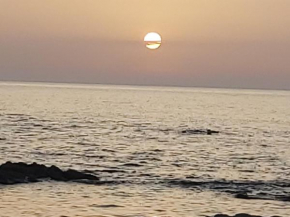 Bilocale in Residenza con Vista Mare - B9 Aglientu